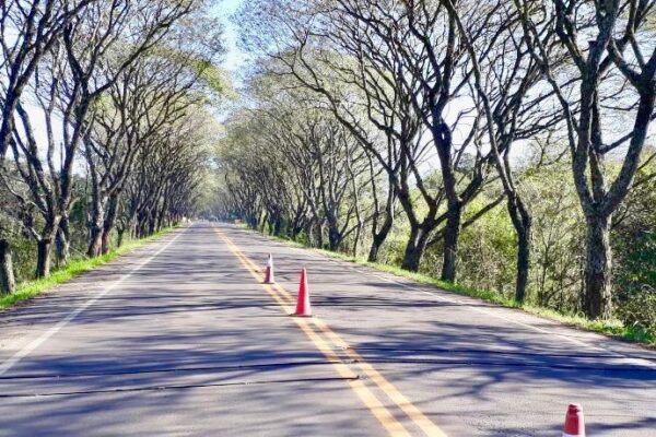 Engenharia de Tráfego Rodoviário19